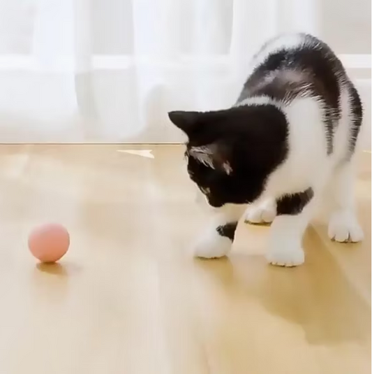 Bola SmartPlay - Juguete Inteligente y Recargable - Estimula y Divierte a tu Mascota